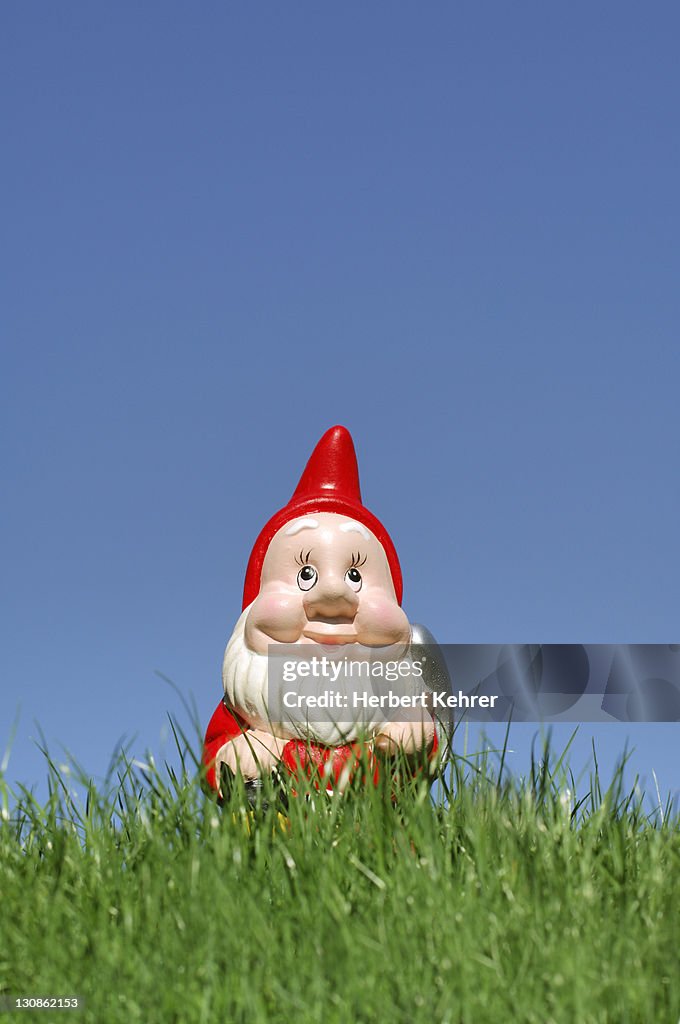 Garden gnome