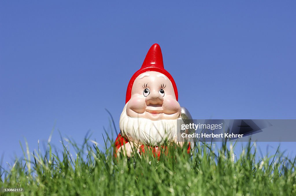 Garden gnome