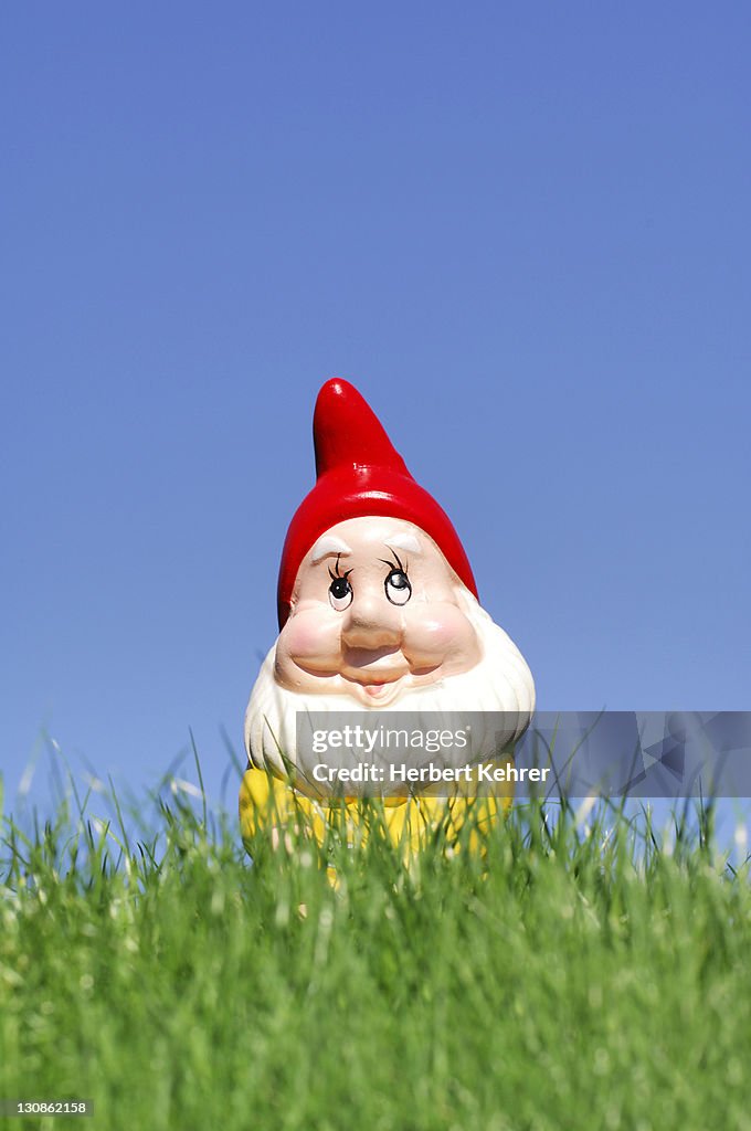 Garden gnome