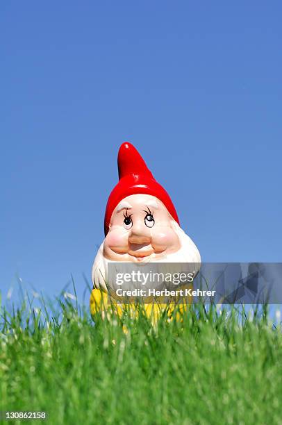 Garden Gnome High-Res Stock Photo