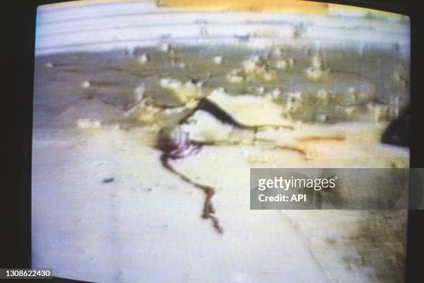 Cadavre de la femme du dictateur communiste roumain Nicolae Ceaucescu, Elena, après leur procès pendant la révolution roumaine, le 30 décembre 1989,...