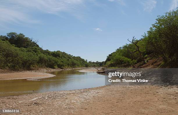 dry time at rio pilcomayo, the river is shrunken to a stream, gran chaco, paraguay - chaco canyon ruins stock pictures, royalty-free photos & images
