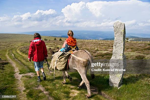 mother and daughter on a donkey hike, cevennes, mont lozere, france, europe - cevennes stock pictures, royalty-free photos & images