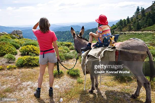 mother and daughter on a donkey hike in the cevennes, france, europe - cevennes stock pictures, royalty-free photos & images