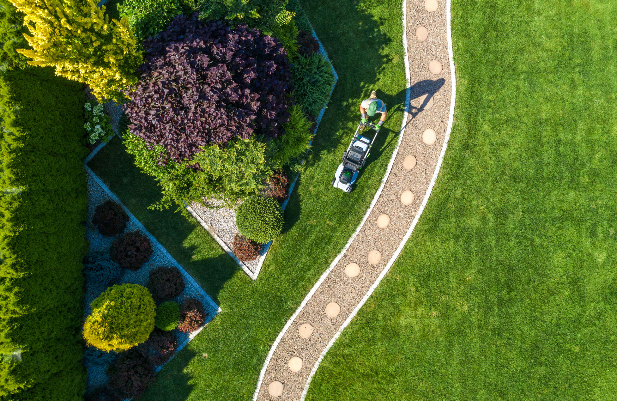 professional lawn mowing