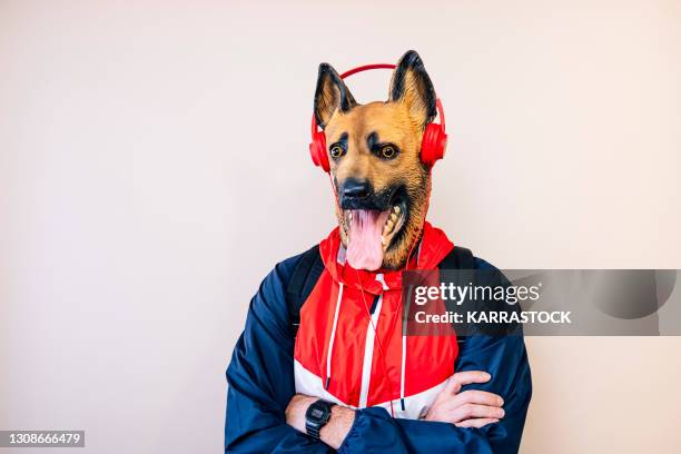 a man in a latex dog head mask with crossed arms - costume beige stock pictures, royalty-free photos & images