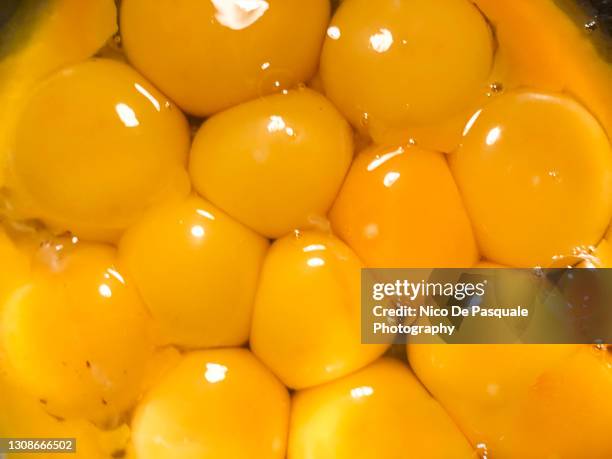 crowded egg yolks - tuorlo foto e immagini stock