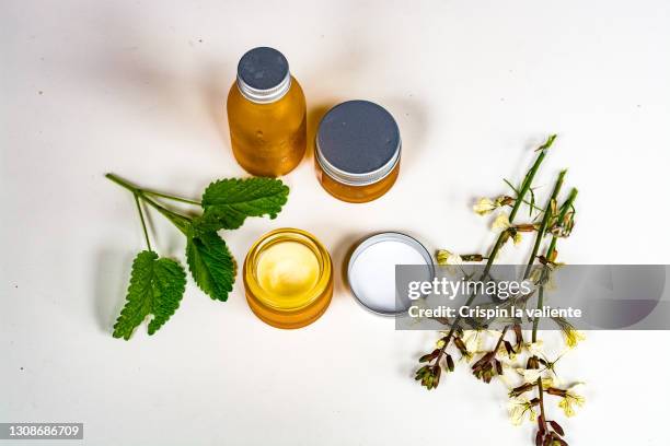 natural creams, with plants on white background. - erva cidreira - fotografias e filmes do acervo