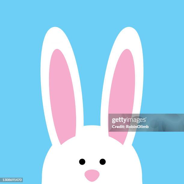 可愛的兔子臉圖示 - easter bunny 幅插畫檔、美工圖案、卡通及圖標
