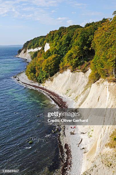 view from the hochuferweg path on the chalk cliffs in the jasmund national park, jasmund peninsula, ruegen island, mecklenburg-western pomerania, germany, europe - rügen island chalk cliffs stock-fotos und bilder