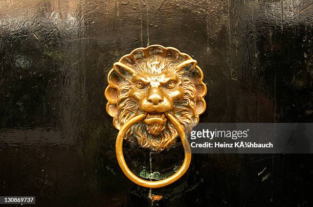 lion head door knocker, venice, venetia, italy - door knocker stock pictures, royalty-free photos & images