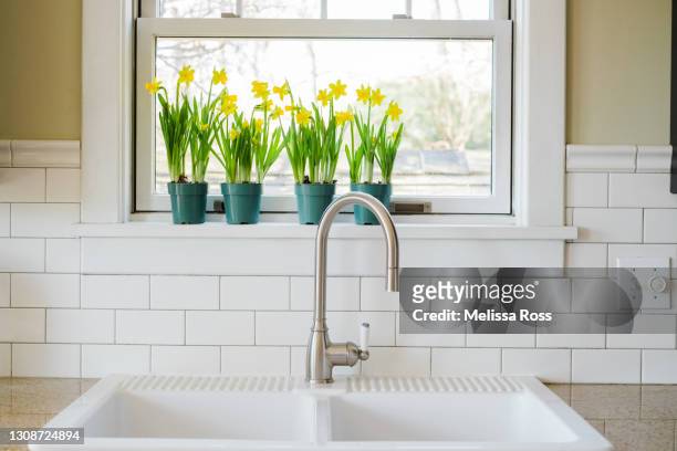 daffodils on a windowsill - morning kitchen stock pictures, royalty-free photos & images