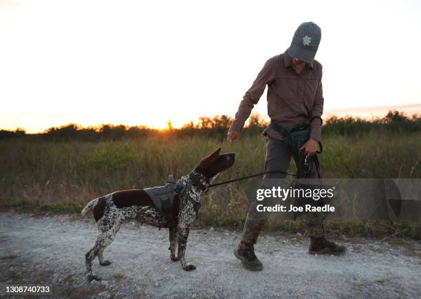 Eleanor Hunter Photos and Premium High Res Pictures - Getty Images