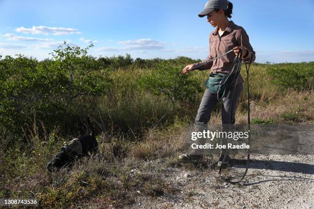 56 Paula Truman Photos & High Res Pictures - Getty Images