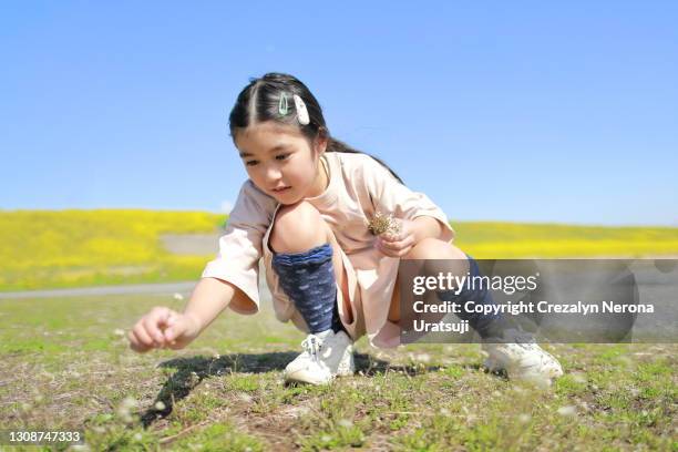 little girl in nature with rape blossoms - feet girl stock pictures, royalty-free photos & images