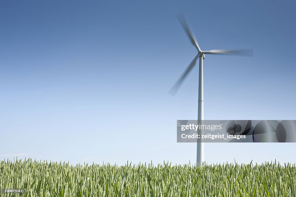 Wind turbine against a blue sky, field in the foreground
