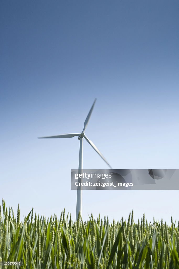 Wind turbine against a blue sky, field in the foreground
