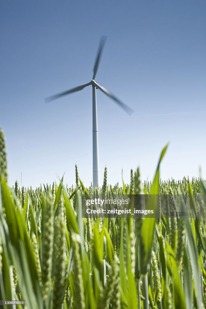 Wind turbine against a blue sky, field in the foreground
