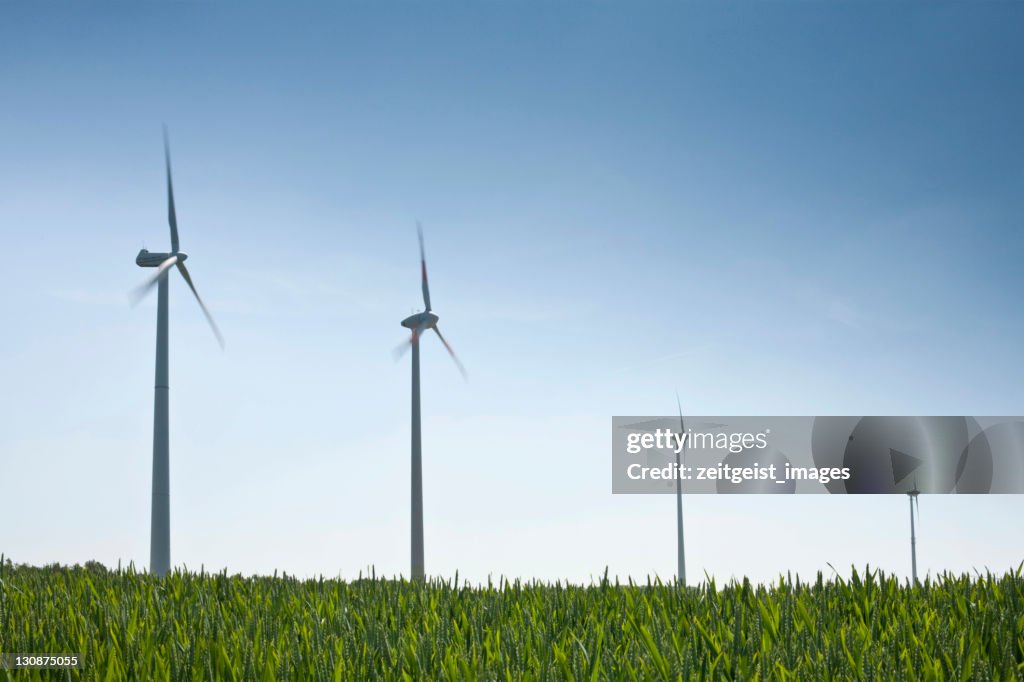 Wind turbines against a blue sky, field in the foreground