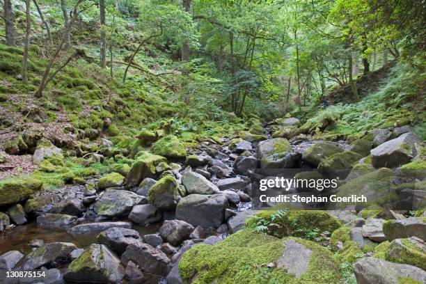 Path Runnel 50 Runnel Stock Photos, High-Res Pictures, and Images - Getty Images