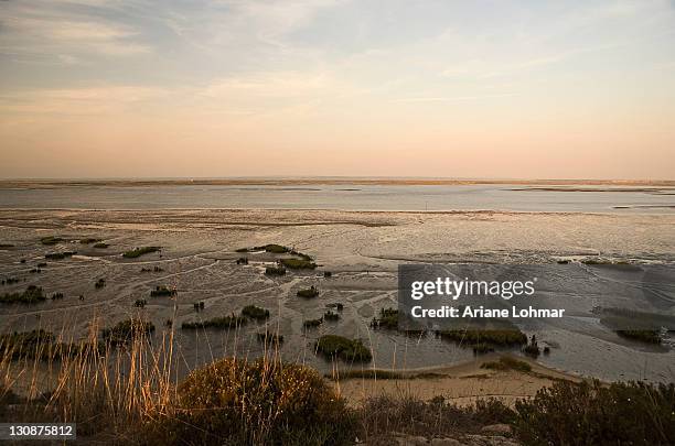 troia peninsula, nature reserve and wildlife sanctuary, rio sado, ribatejo, portugal - estuario fotografías e imágenes de stock