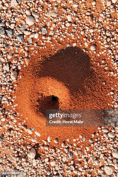 Anthill On The Side Of A Highway Shark Bay World Heritge Area Western Australia Australia, Foto de stock