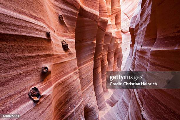 zebra slot canyon, hole in the rock road, grand staircase-escalante national monument, utah, usa - slot canyon stockfoto's en -beelden