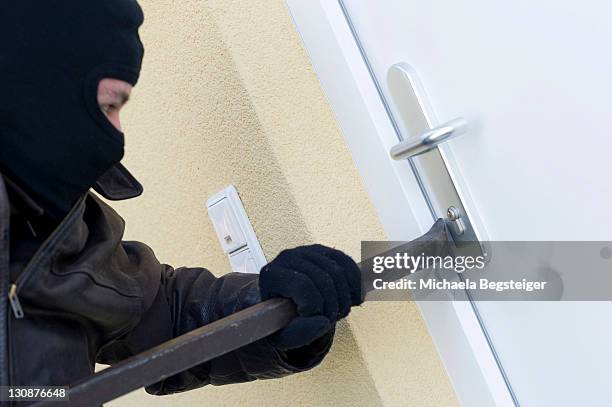 Crows Using Tools Photos and Premium High Res Pictures - Getty Images