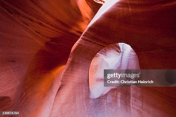peek-a-boo slot canyon, hole in the rock road, grand staircase-escalante national monument, utah, usa - slot canyon stock pictures, royalty-free photos & images
