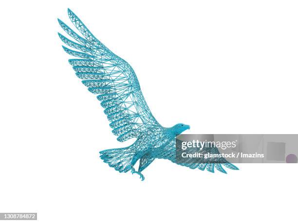 Bird Flying Frame By Frame Photos and Premium High Res Pictures - Getty ...