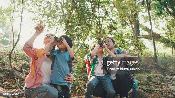 gezinsverkenners - asian child with binoculars stockfoto's en -beelden