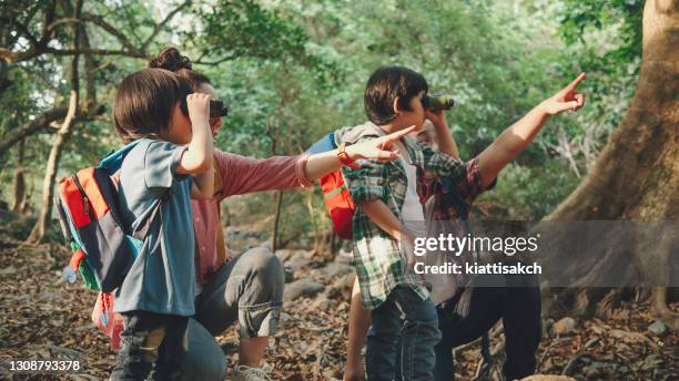 gezinsverkenners - asian child with binoculars stockfoto's en -beelden