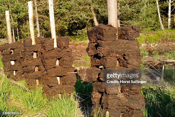 peat piled up on stacks for drying in the peatbog of the koller filze near nicklheim bavaria germany - mine stock-fotos und bilder