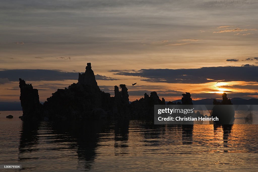 Tufa sculptures with Ospreys at sunrise, South Tufa Area, State Natural Reserve, Mono Lake, California, USA