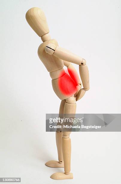 pain in the back - columna vertebral stockfoto's en -beelden