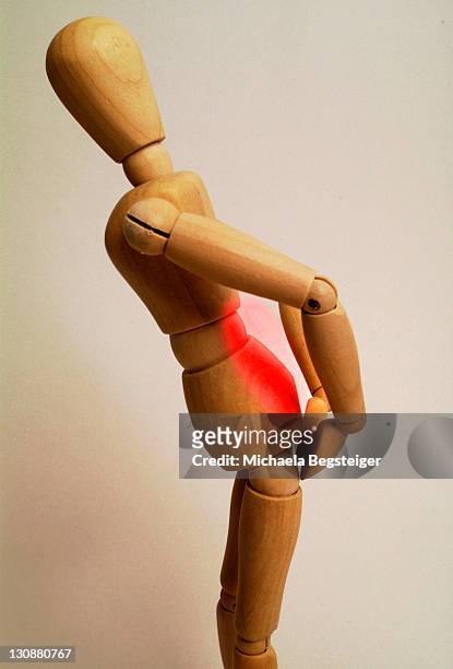 pain in the back - columna vertebral stockfoto's en -beelden