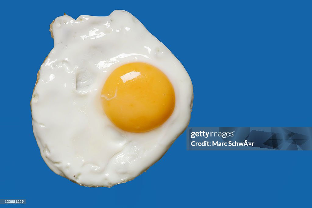 Fried egg