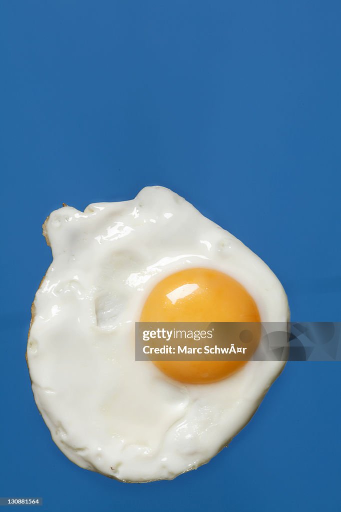 Fried egg