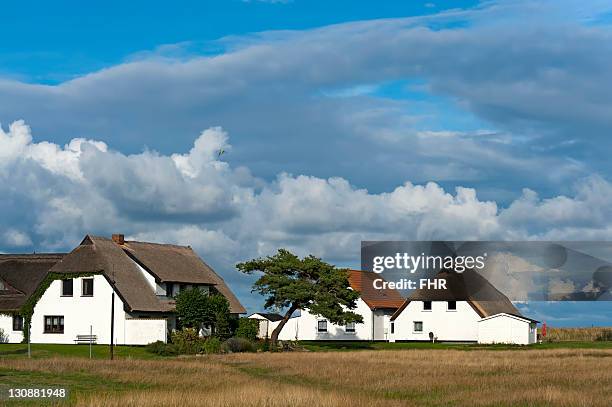 houses surrounded by meadows in neuendorf on hiddensee island, mecklenburg-western pomerania, germany, europe - strohdach stock-fotos und bilder