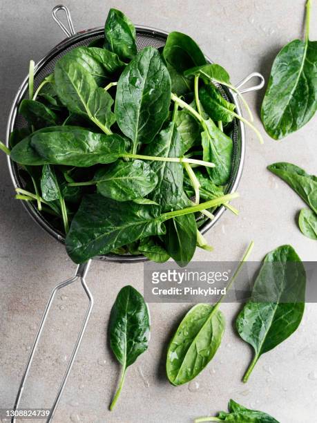 小菠菜，菠菜葉，小菠菜葉 - 用篩子洗 - spinach 個照片及圖片檔