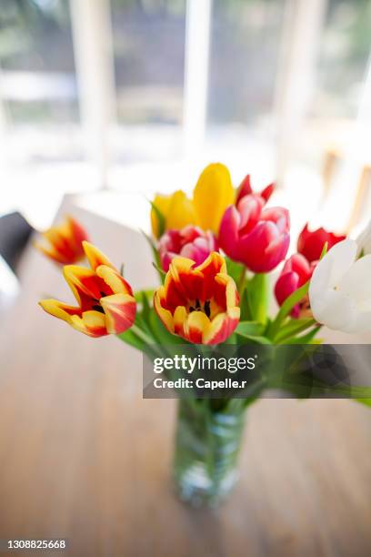 printemps - fleurs tulipes - bouquet de fleurs imagens e fotografias de stock