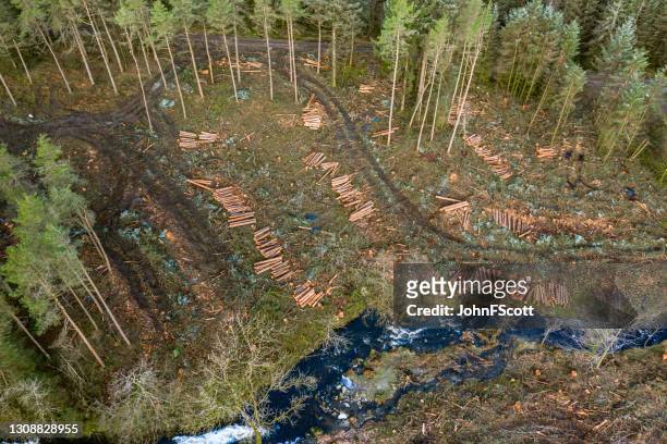high angle view of harvesting in a scottish forestng - grass clearcut stock pictures, royalty-free photos & images