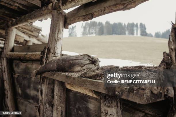 trenches and barbed wire - prima guerra mondiale foto e immagini stock