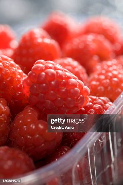 Macro Raspberry Macro Raspberry Photos and Premium High Res Pictures - Getty Images