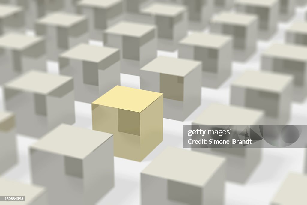 Silver metal cubes in rows with bokeh, the focus is on a golden cube, concept picture, symbol for society, group, individual, uniqueness, 3D illustration