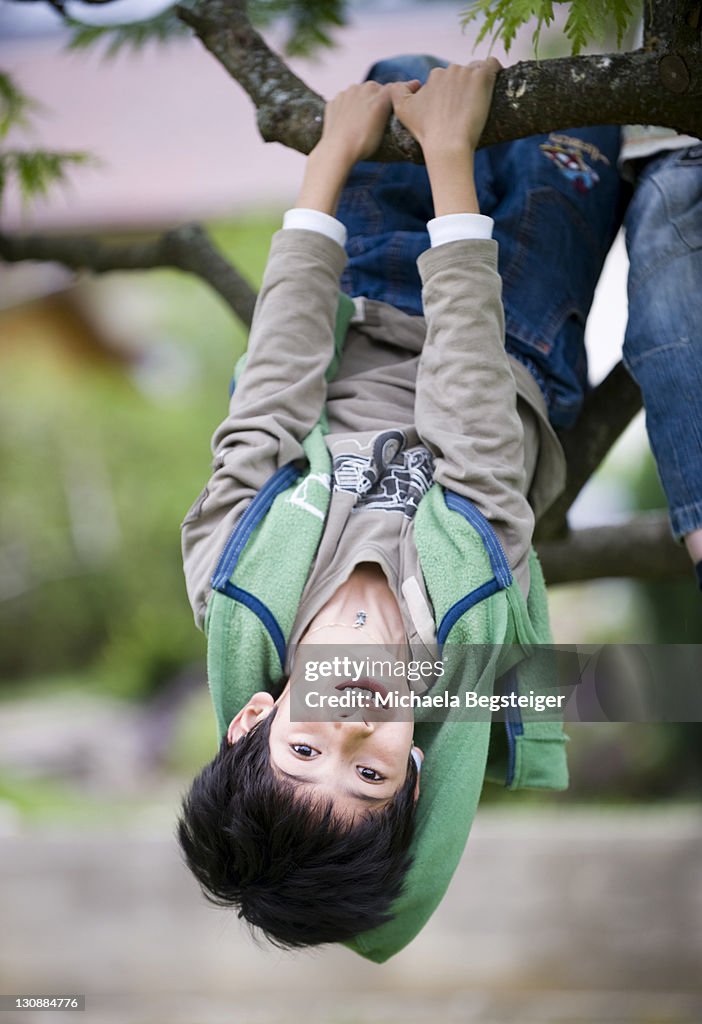 Boy, 8, haning from a tree