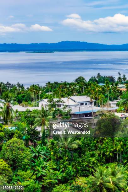 papua new guinea, milne bay province, alotau, coastal town surrounded by green palm trees - alotau papua new guinea stockfoto's en -beelden