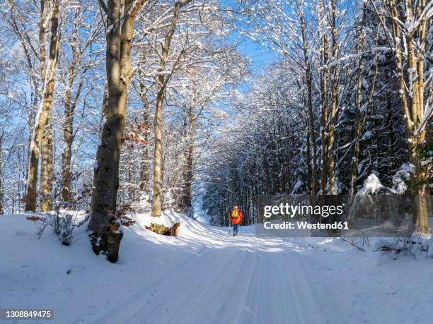 germany, black forest, freiamt, person hiking on schillinger berg in winter - black forest germany stock pictures, royalty-free photos & images