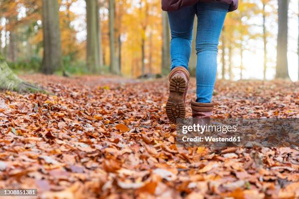 woman with boots walking on autumn leaves in forest - legs walking stock-fotos und bilder