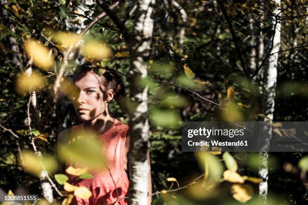 young woman seen through birch trees in forest during sunny day - berk stockfoto's en -beelden